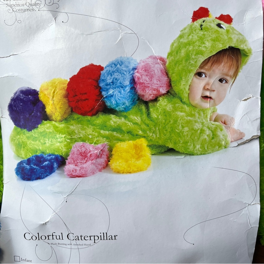 Baby's Colorful Caterpillar custom Bunting